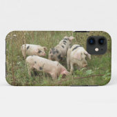 Porcs dans un champ iPhone 5 Coque (Dos (Horizontal))