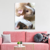 Porcs de Guinée gros papier de toile (Insitu(Salon))