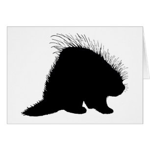 Porcupine