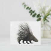 Porcupine Briefkaart (Staand voorkant)