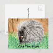 Porcupine Briefkaart (Voorkant / Achterkant)