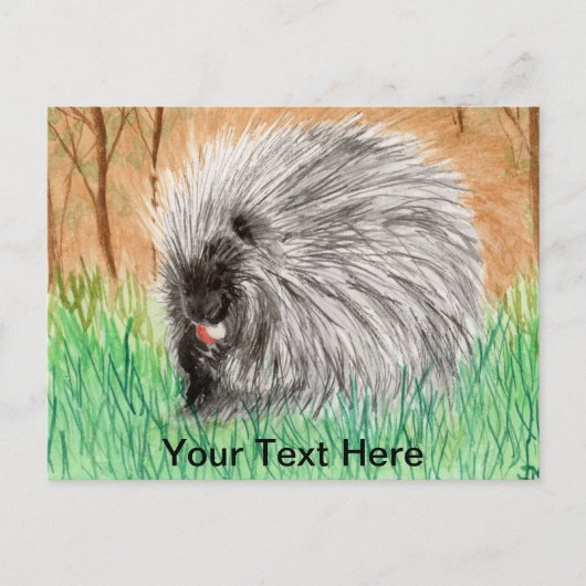 Porcupine Briefkaart (Voorkant)