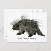 Porcupine Briefkaart (Voorkant / Achterkant)
