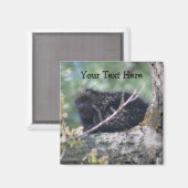 Porcupine Dans L'Arbre Animal Nature Photo Magnet (Recto/Verso)