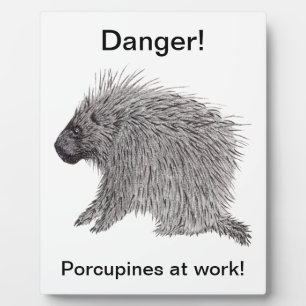 Porcupine Fotoplaat