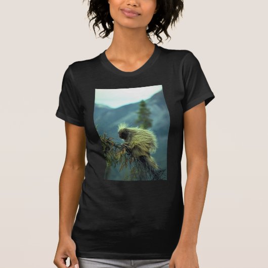 Porcupine in een spruce-boom, NWT, Canada T-shirt (Voorkant)