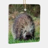 Porcupine in Ricketts Glenn Keramisch Ornament (Rechts)