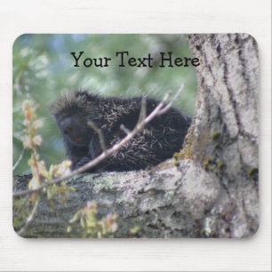 Porcupine in Tree Animal Natuur Foto Mousepad Muismat