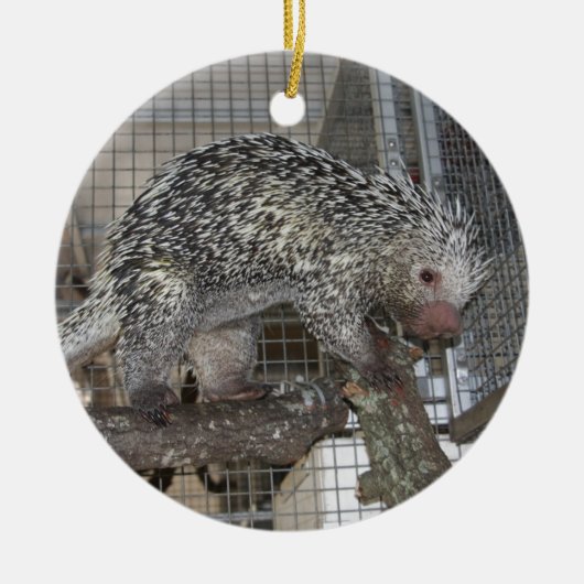 Porcupine Keramisch Ornament (Voorkant)