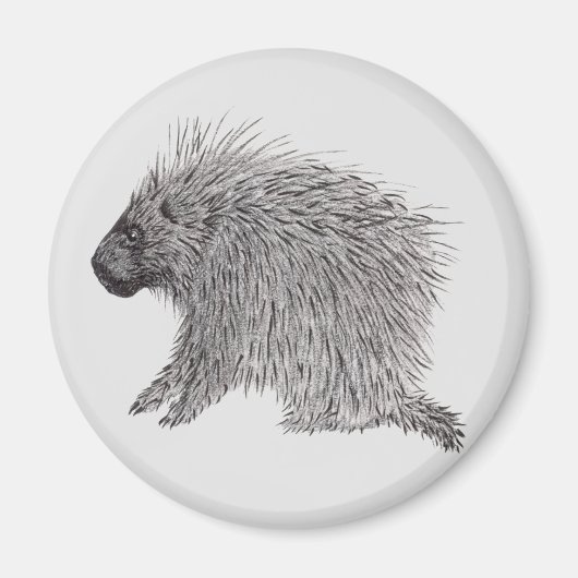 Porcupine Magneet (Voorkant)