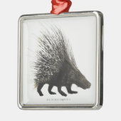 Porcupine Metalen Ornament (Links)