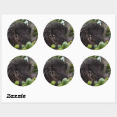 porcupine ronde sticker (Vel)