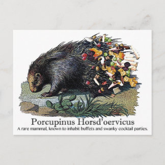 Porcupinus Hoerd'oervicus Briefkaart