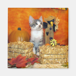 Pork Chop's Herfst Magnet - Cat / Kitten Magneet