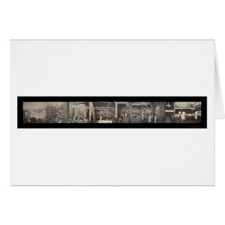Pork Pig Processing Photo 1900
