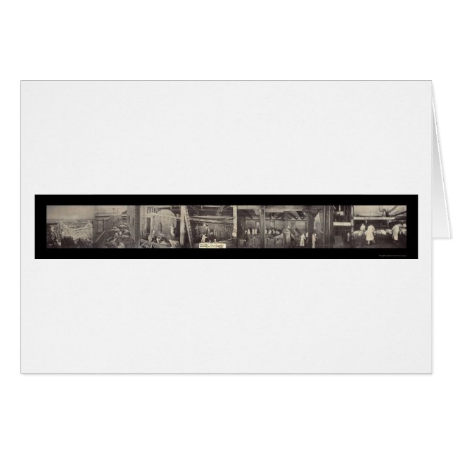 Pork Pig Processing Photo 1900 (Devant horizontal)