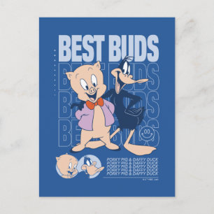 Porky Pig & DAFFY DUCK™ Best Buds Briefkaart