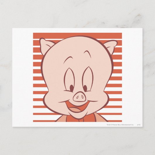 Porky Pig Expressive 23 Briefkaart (Voorkant)