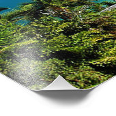 Port Douglas Foto Afdruk (Hoek)