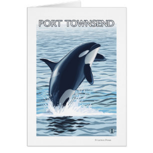 Port Townsend, sauter de WashingtonOrca