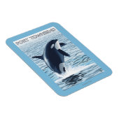 Port Townsend, WashingtonOrca Jumping Magneet (Rechterzijde)