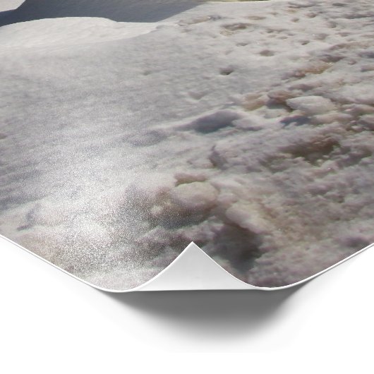 Portable Potty ~ Foto Afdruk (Hoek)