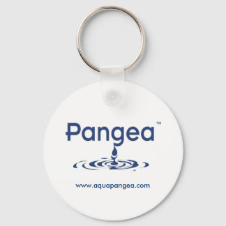 portachiavi Pangea Sleutelhanger