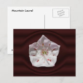 Portail de Mountain Laurel ~ carte postale (Devant / Derrière)