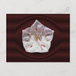 Portail de Mountain Laurel ~ carte postale