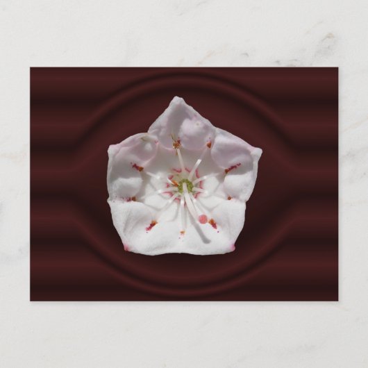 Portail de Mountain Laurel ~ carte postale (Devant)