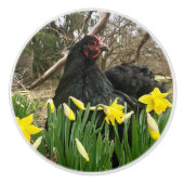 porte à cochon noir poignée de l'armoire tirette à (Devant)