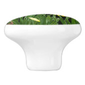 porte à cochon noir poignée de l'armoire tirette à (Côté)