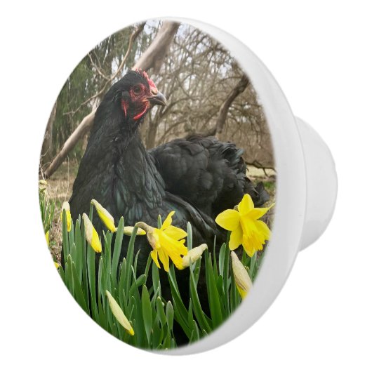 porte à cochon noir poignée de l'armoire tirette à (Droite)