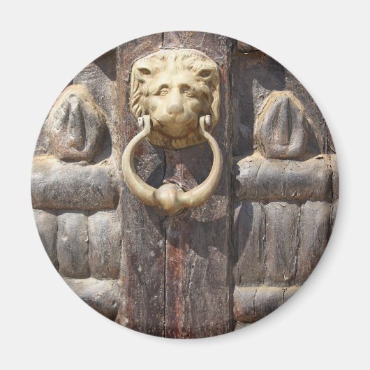 Porte ancienne avec aimant de Lion Knocker (Devant)