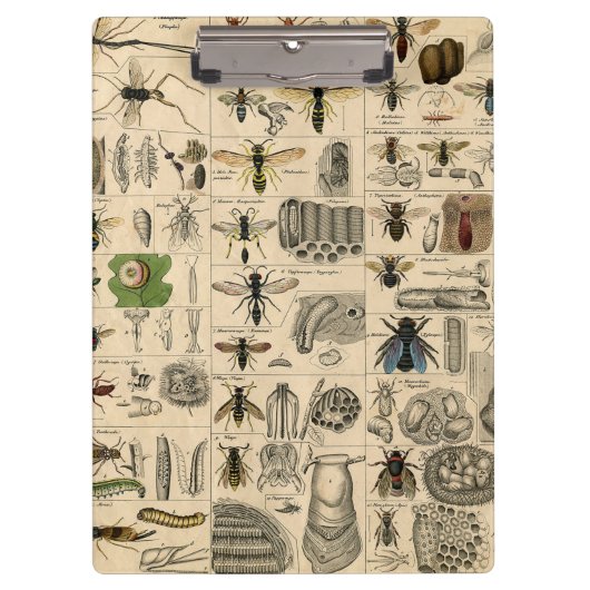 Porte-bloc Abeille Insecte Bug Wasp Nature Peinture des abeil (Devant)