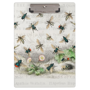 Porte-bloc Abeille Reine Entomologie Botanique Vintage