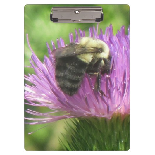 Porte-bloc Abeille sur le Porte - bloc de chardon (Devant)