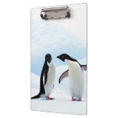 Porte-bloc Adelie Penguins (Gauche)