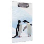 Porte-bloc Adelie Penguins (Swatch)