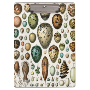 Porte-bloc Adolphe Millot Dark Academia Art Vintage d'Œuf d'O