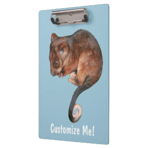 Porte-bloc Adorable Baby Ringtail Possum en Australie