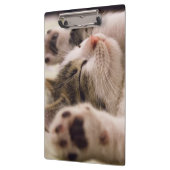 Porte-bloc adorable chaton de couchage (Gauche)