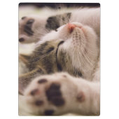 Porte-bloc adorable chaton de couchage (Dos)