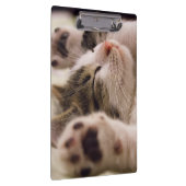 Porte-bloc adorable chaton de couchage (Swatch)
