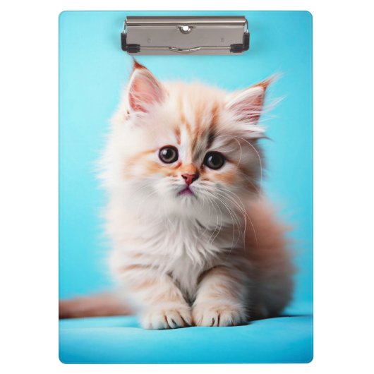 Porte-bloc Adorable Potrait de chaton blanc-54971 (Devant)
