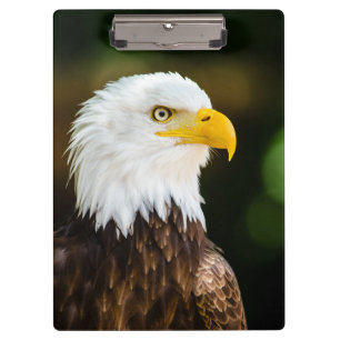 Porte-bloc Adulte Patriotique Adulte