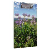 Porte-bloc African Lily (Agapanthus praecox), Mossel Bay (Swatch)