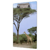 Porte-bloc Afrique, Botswana, delta de l'Okavango. Sud (Gauche)