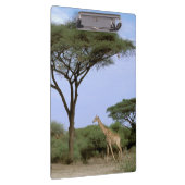 Porte-bloc Afrique, Botswana, delta de l'Okavango. Sud (Swatch)