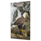 Porte-bloc Aigle à tête blanche (Gauche)